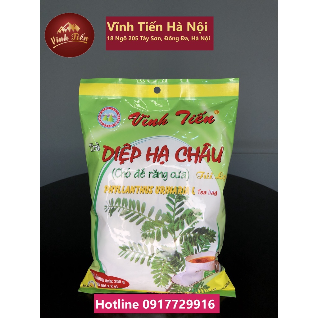 Trà Diệp Hạ Châu Vĩnh Tiến mát gan, tiêu độc 100 túi lọc- comboo 3 gói