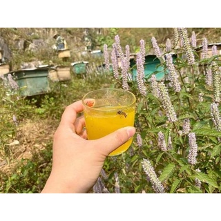 Mật ong bạc hà _ đồng văn hà giang