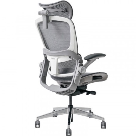 Ghế công thái học EPIONE EASY CHAIR SE V2  Hàng chính hãng