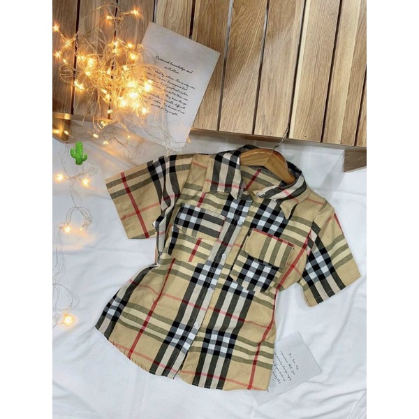 Áo sơmi cộc tay sọc Bờ_Bờ_Rờ siêu chanh sả