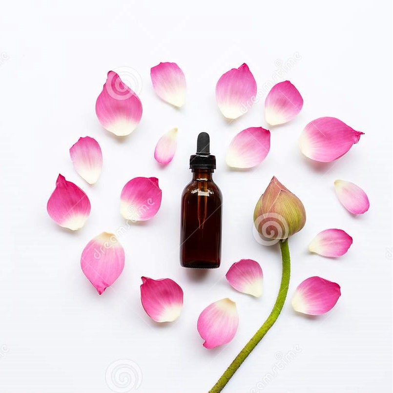 Tinh Dầu Hoa Sen Lotus Essential Oil Quốc hoa Việt Nam