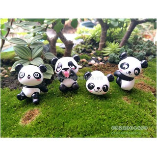 Gấu trúc panda tinh nghịch