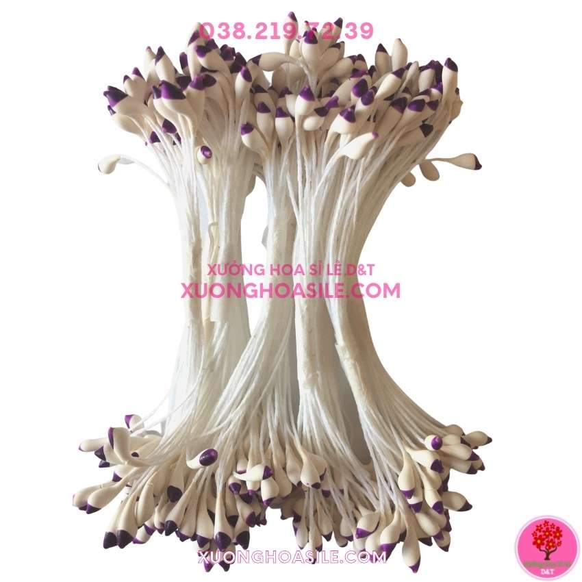 10 BÓ NHỊ BỘT TRÒN 2 MÀU