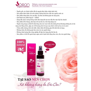 Xịt khoáng hoa hồng Sóc Con