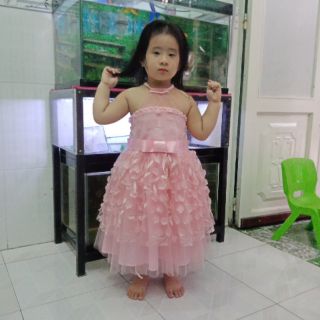 Đầm von