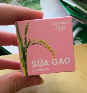 Kích trắng sữa gạo 🍅🍎