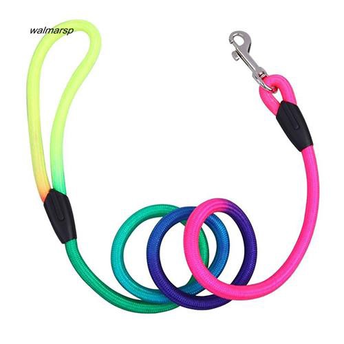 Dây dắt thú cưng dạng tròn nhiều màu sắc