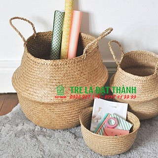 Giỏ cói trồng cây/đựng quần áo/decor tự nhiên nhiều Size | tre lá đạt thành