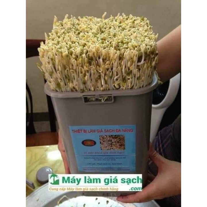 MÁY LÀM GIÁ ĐỖ GV102 PHIÊN BẢN TỰ ĐỘNG!