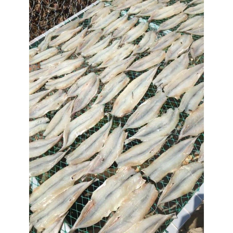 CÁ MỐI RÚT XƯƠNG 1 NẮNG