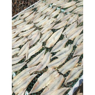CÁ MỐI RÚT XƯƠNG 1 NẮNG