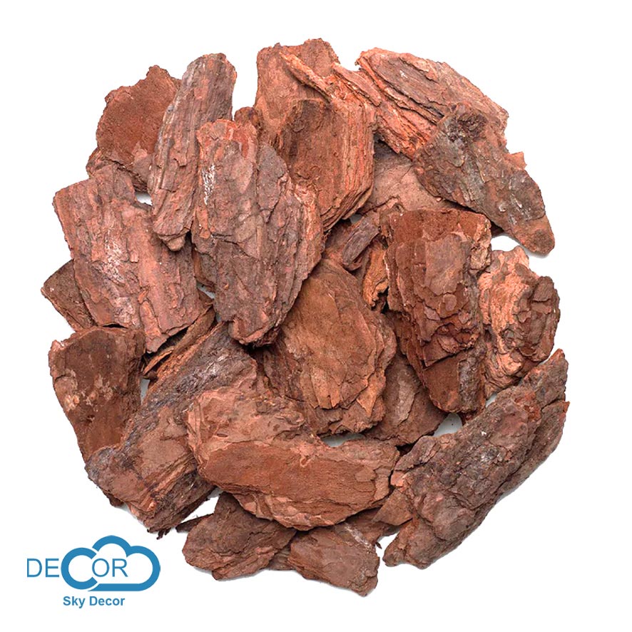 Vỏ thông khô Sky Decor phong cách vintage, cổ điển - Chụp ảnh phong cách mộc