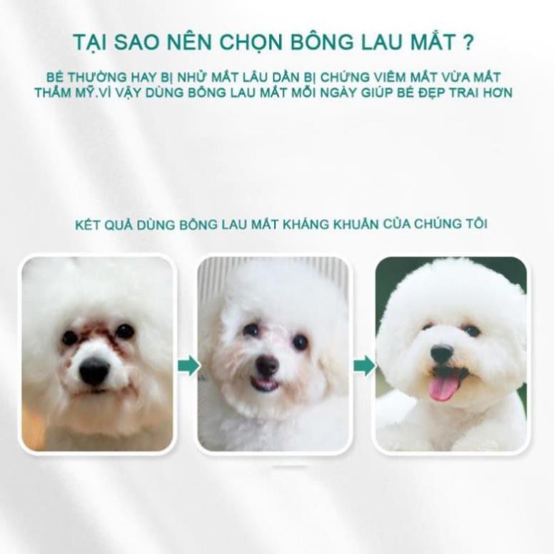 Hộp 130 chiếc - Khăn lau mắt thú cưng từ cây Lô Hội giúp chó mèo sáng mắt sạch mắt