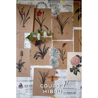 POSTCARD 30 TẤM GIẤY KRAFT-HOA LILY