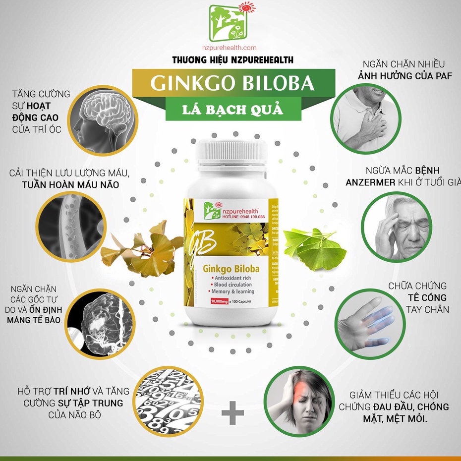Ginkgo Biloba NZPureHealth Viên Uống Bổ Não, Tăng Trí Nhớ