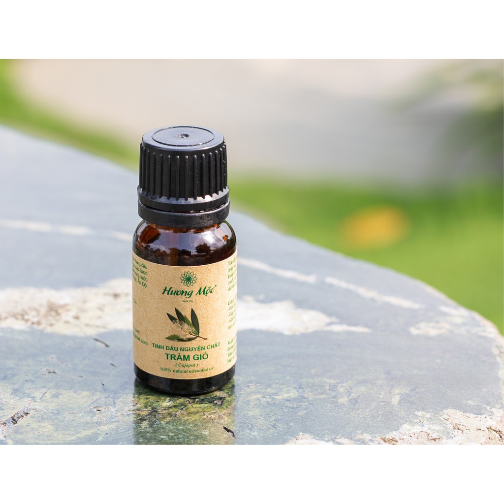 Tinh dầu Tràm Gió Hương Mộc 10ML | Cajeput Essential Oil 10ML