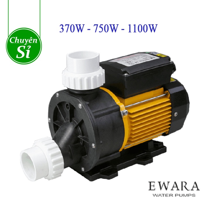 Máy bơm hồ bơi EWARA TDA 50 (0.5Hp), TDA 100 (1Hp), TDA 150 (1.5Hp)