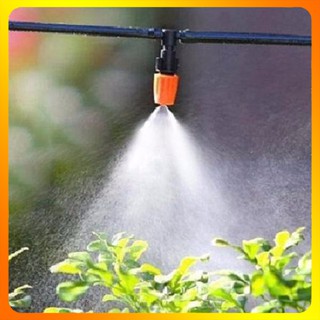 Béc tưới cây phun sương 1 cửa tưới lan, hoa màu