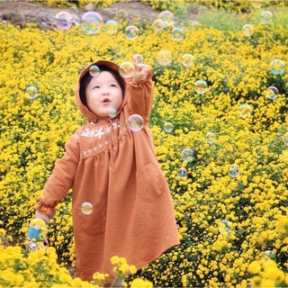 Váy thô Kaii màu nâu dài tay thêu ngực BG