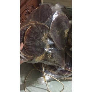 sỉ toàn quốc nấm linh chi rừng 1kg