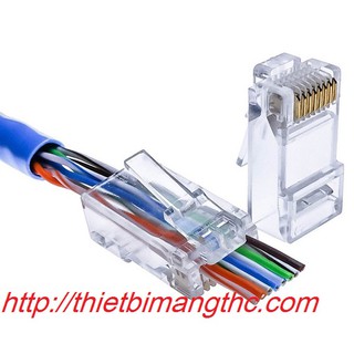 Đầu bấm mạng Xuyên thấu Cat5e commscope