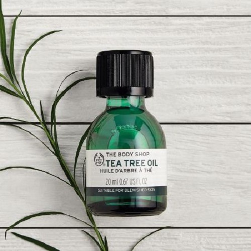 Tinh dầu tràm dành cho da mụn The Body Shop Tea Tree Oil