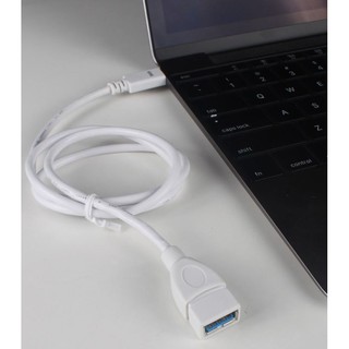 CÁP USB SANG TYPE C NỐI DÀI SSK UC-CA980