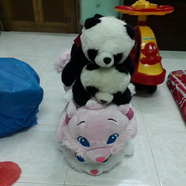 Cặp mèo tiểu thư cua c vũ linh