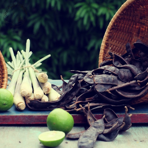 Bồ kết trái khô 20g-100g