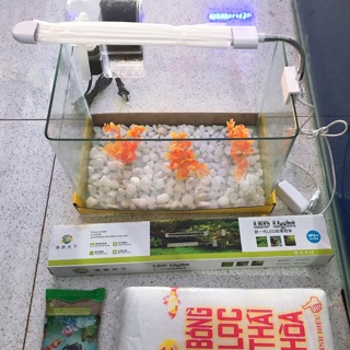 Bể cá.hồ cá đúc,Combo hồ + máy +đèn + cám + 3 cây trang trí + đá trắng 1 ký + bông lọc + tranh dán bể cá