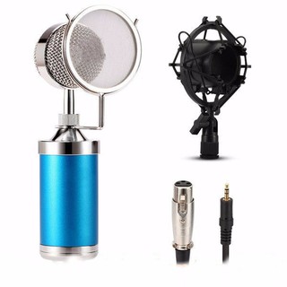 Micro Thu Âm Ts-99 (Có Màng Lọc)