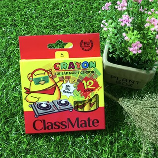 Bút sáp 12 màu Class Mate CL-CR201