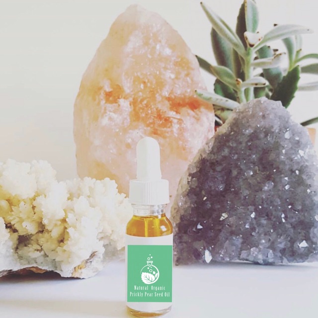 DẦU HẠT XƯƠNG RỒNG ORGANIC ÉP LẠNH HBNO - Prickly Pear Seed Oil - Dầu dưỡng cho da dầu