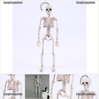 Mô hình bộ xương người bằng nhựa dùng để trang trí tiệc Halloween