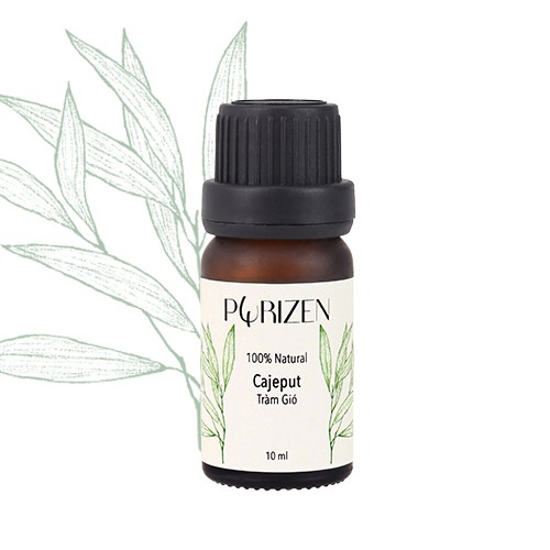 Tinh Dầu Tràm Gió - Cajeput Essential Oil