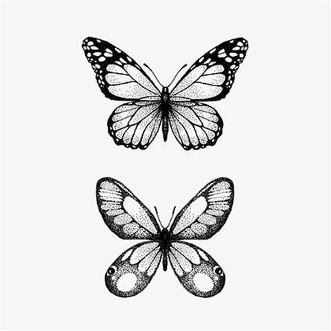 8 Hình xăm dán chống thấm nước hình bướm cá tính