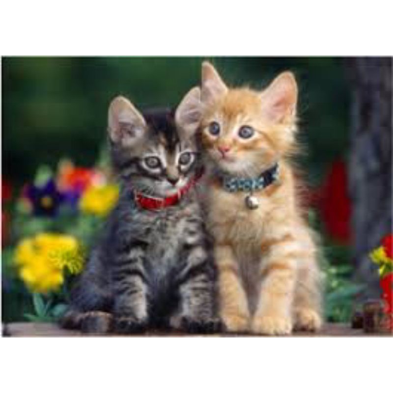 ( Siêu Rẻ)Dây đeo cổ Mèo có chuông phong cách Nhật- xích cổ có chuông giá rẻ