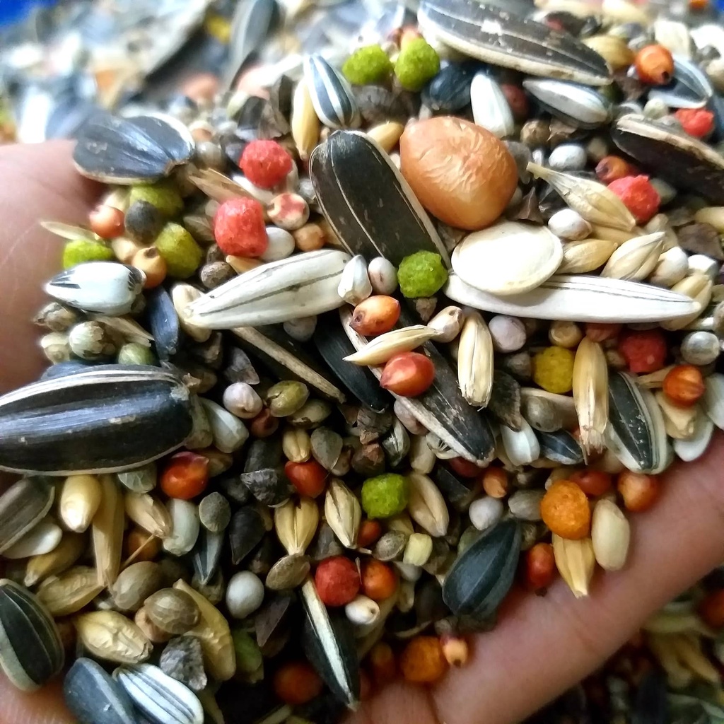 HẠT TRỘN CHO VẸT SUN, XÍCH, XÁM CHÂU PHI...gói 1kg
