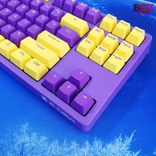 Bộ Keycap 104 PBT Tím Vàng Cực Đẹp ( 104 nút, PBT Double Shot, OEM Profile )