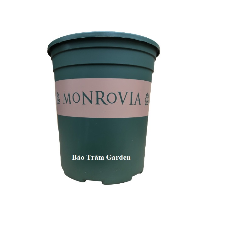 Chậu nhựa trồng cây cao cấp MONROVIA cỡ số 1 dung tích 1 Gallon ( 3,8L)