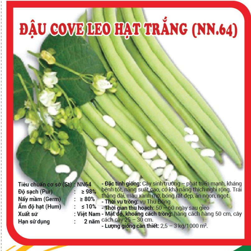 Gói 1KG Hạt giống Đậu Cove leo hạt trắng_Đỗ cove xanh leo siêu quả