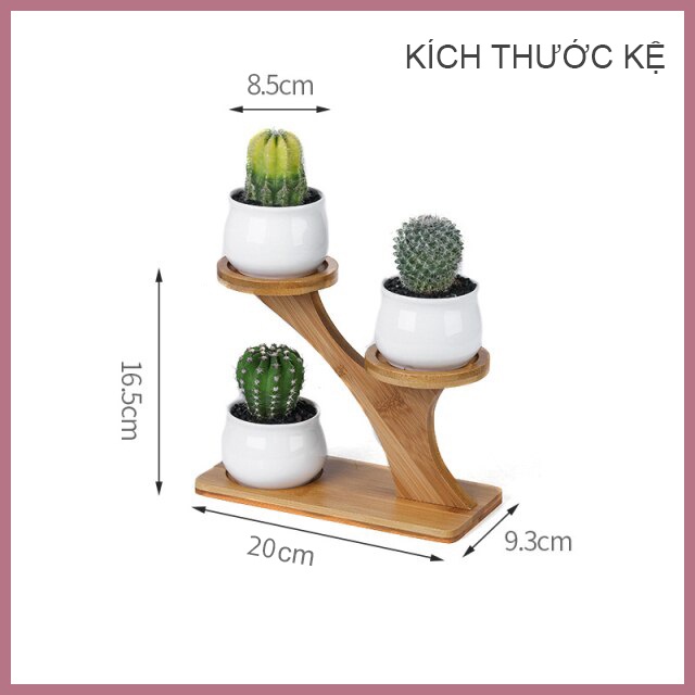 Kệ Gỗ Trang Trí Decor Xinh, Kệ Để Bàn Đặt Chậu Sứ MINI Xương Rồng, Sen Đá, Để Chai Lọ