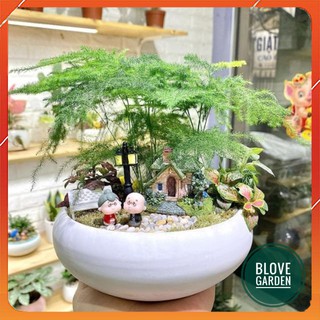 Tiểu cảnh trang trí - (Dành cho khách sỉ) Combo phụ kiện tiểu cảnh trang trí sen đá xương rồng