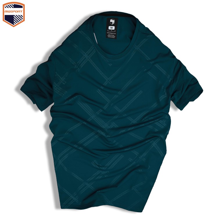 Áo Thun Nam Thể Thao Form Regular Unisex Trơn Basic Cổ Tròn Vải Poly Thun Lạnh Cao Cấp - Big Sport, BS00 | BigBuy360 - bigbuy360.vn