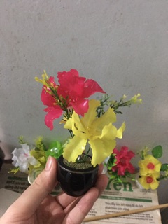 10 chậu hoa đá pha lê