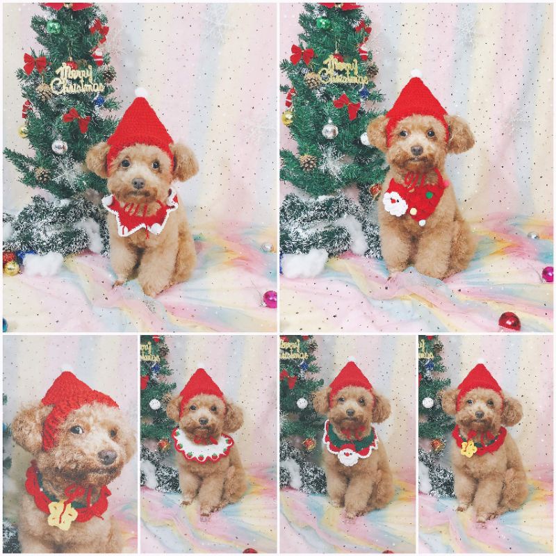 [order] yếm noel cho chó mèo