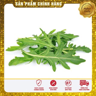 Hạt giống rau cải rocket cao sản