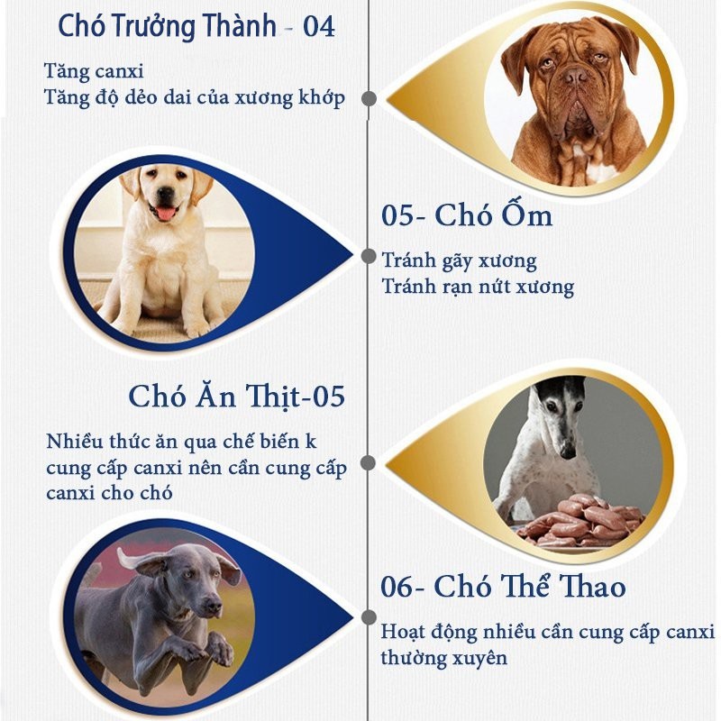 Hộp 600 viên Bổ sung Canxi cho chó mèo BRORAMY