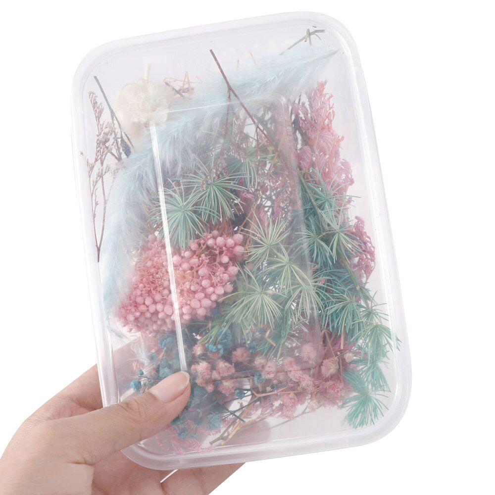 [Hàng mới về] Hộp hoa khô trang trí móng tay nghệ thuật 3D sành điệu