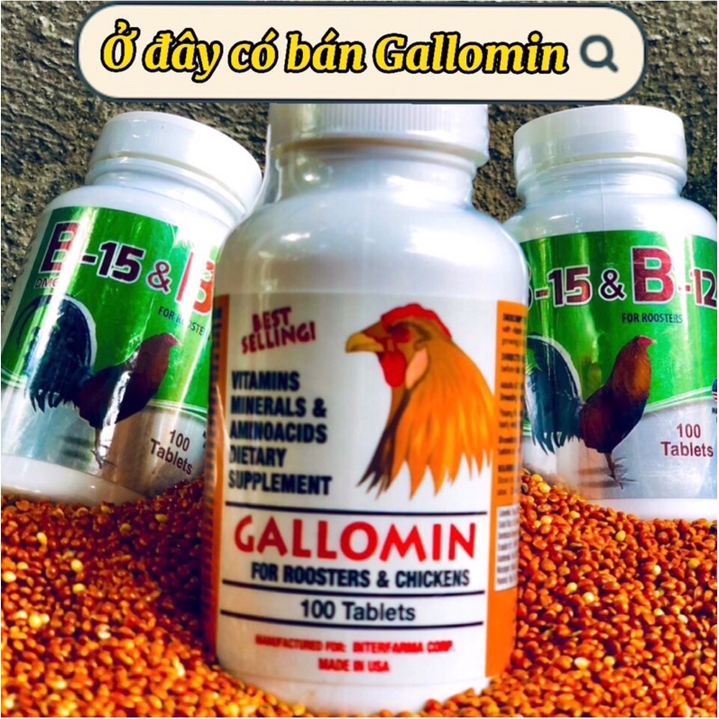 Gallomin thuốc nuôi cho gà đá tăng bo, dinh dưỡng cho chiến kê